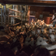 Livestock contributes to about 40% of Somalia's gross domestic product.